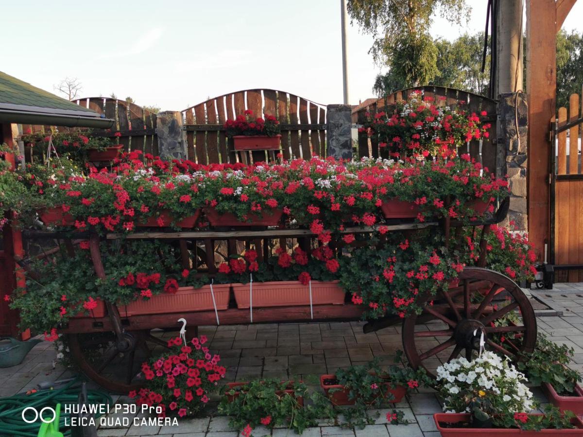 Готель Sepsi Relax Сфинту-Ґеорґе Екстер'єр фото